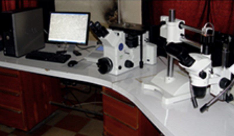 Sistema de análisis de microscopio metalúrgico